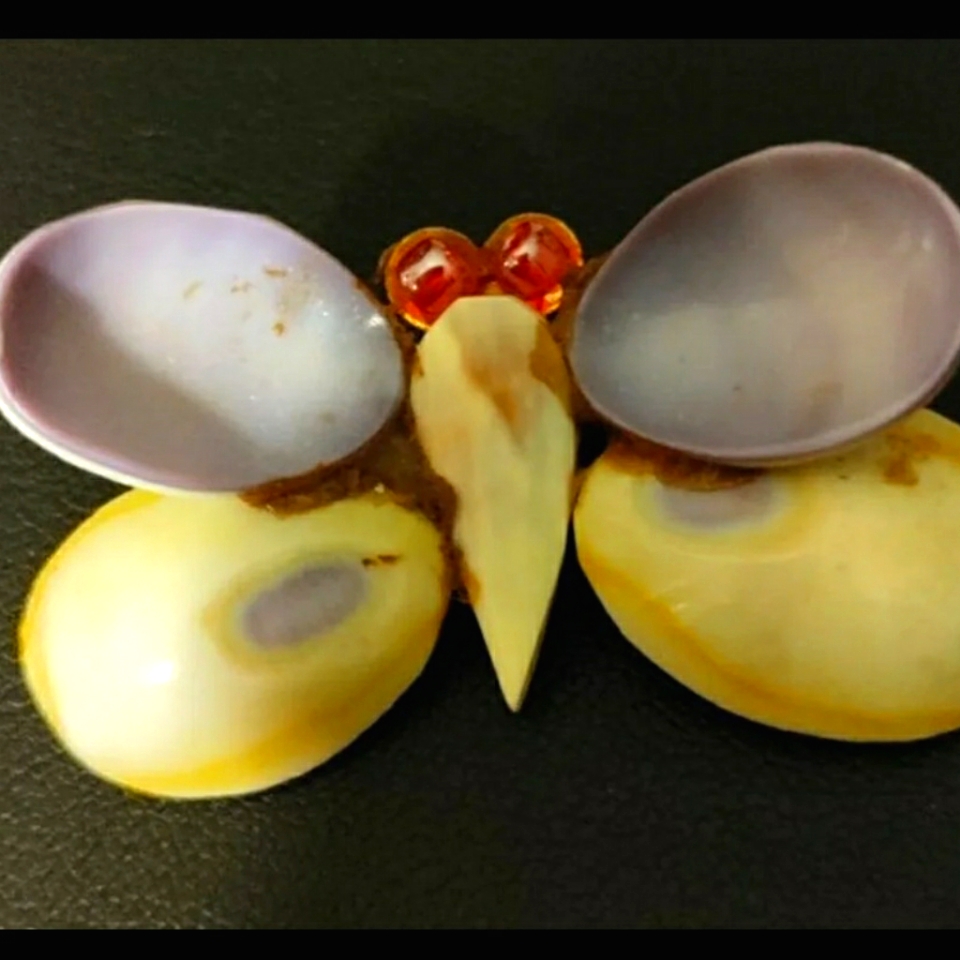 Shell Brooch
